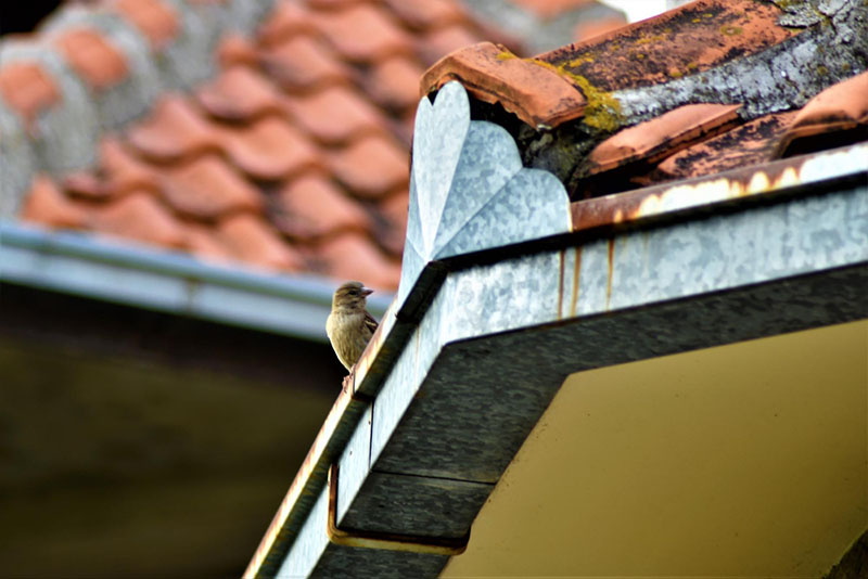 Limpieza, mantenimiento y cambio de canalones y bajantes en Granada